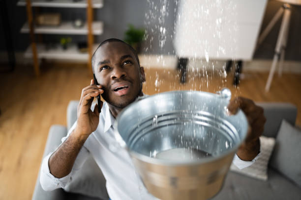 Best Water damage cleanup near me  in Pierceton, IN