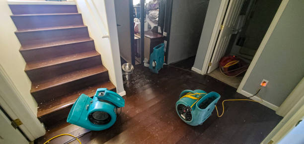Best Basement water damage restoration  in Pierceton, IN