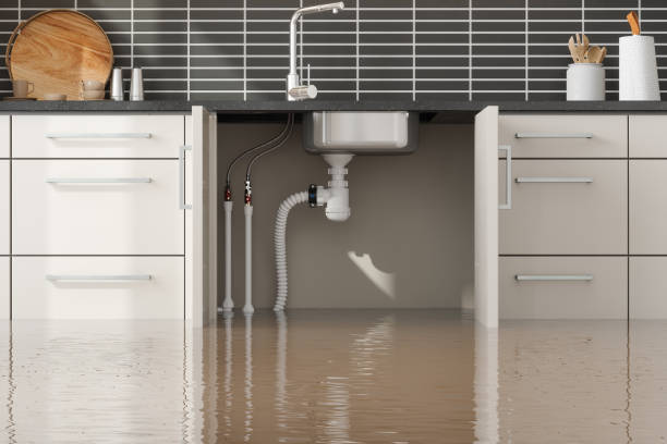 Best Professional water damage repair  in Pierceton, IN