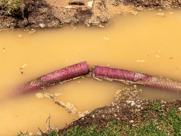 Best Local water damage restoration  in Pierceton, IN
